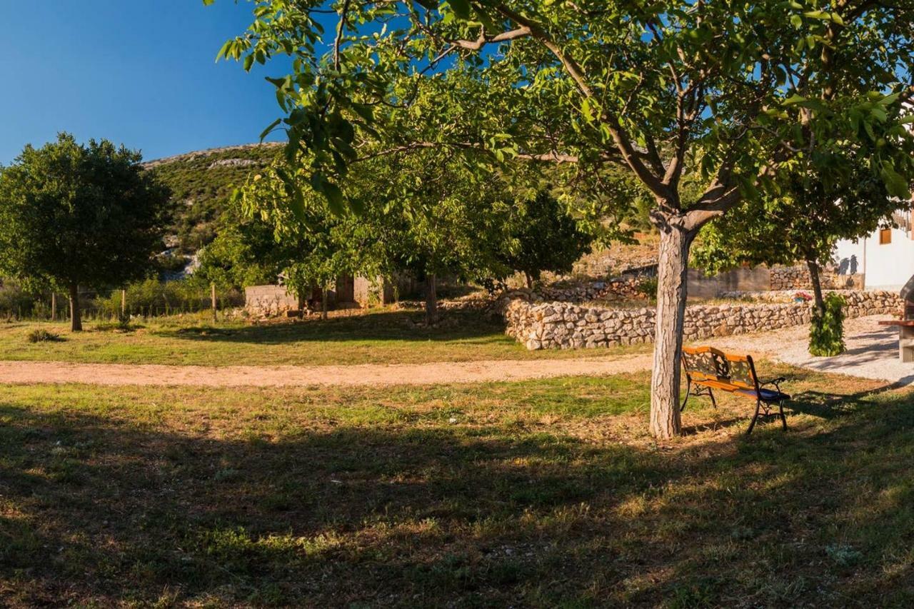 Apartmán Kuca Za Odmor Lucija Vrana  Exteriér fotografie